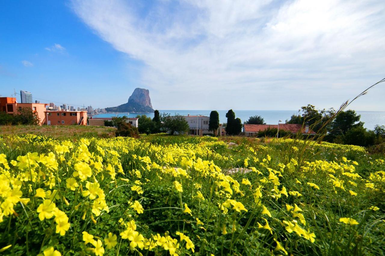 Homeincalpe Borumbot المظهر الخارجي الصورة