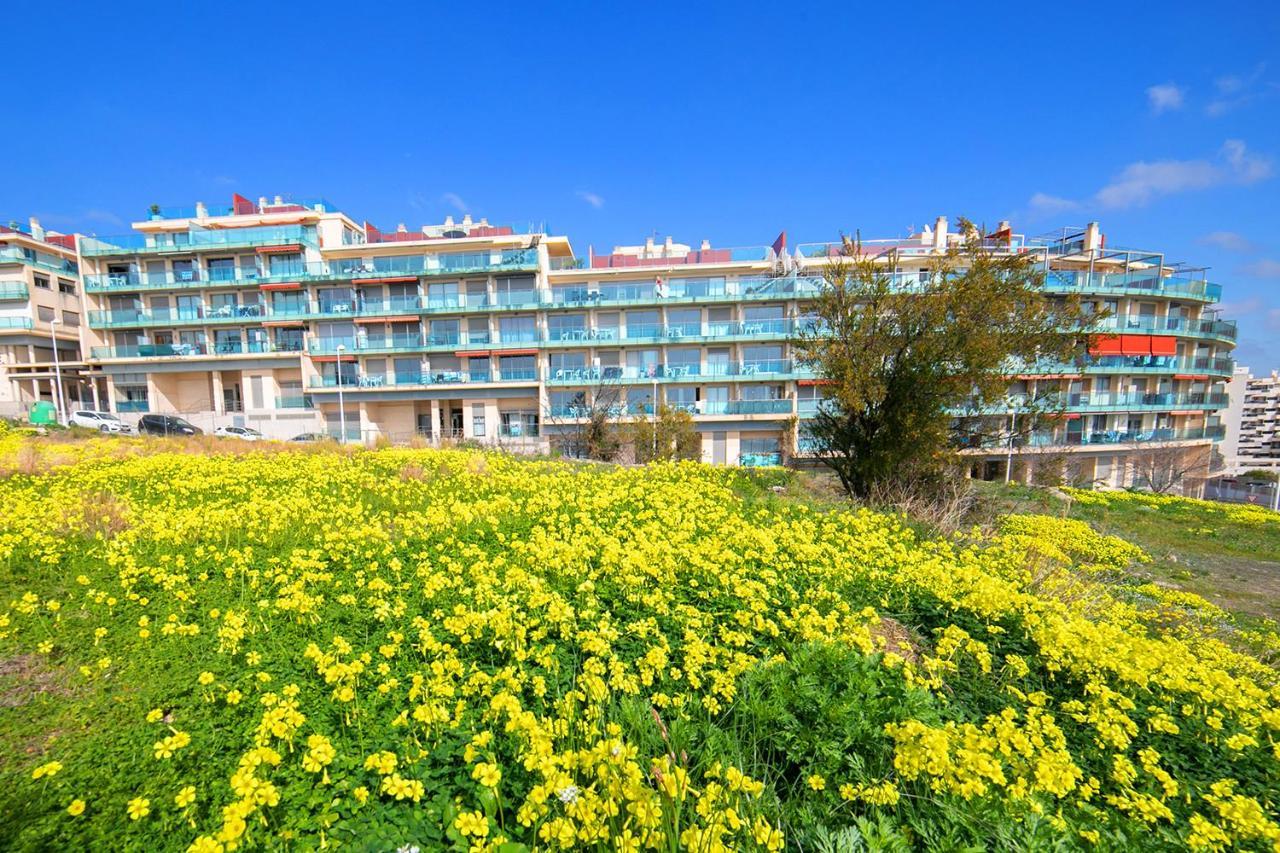 Homeincalpe Borumbot المظهر الخارجي الصورة