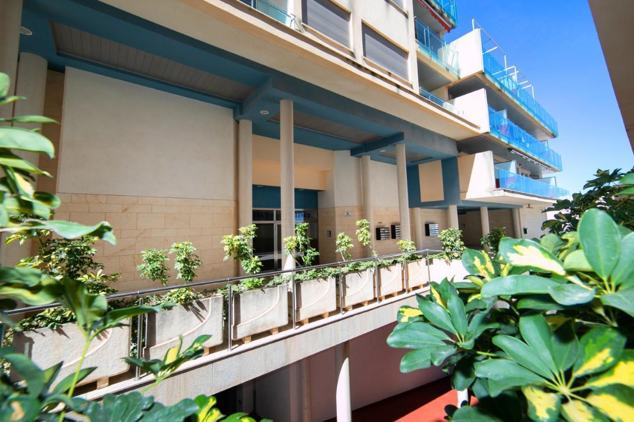 Homeincalpe Borumbot المظهر الخارجي الصورة